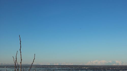 Scenic view of sea against clear blue sky