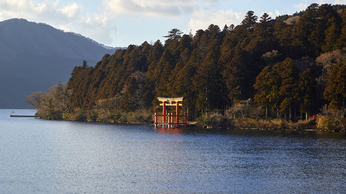 Scenic view of lake by trees against sky