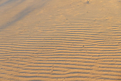 Full frame shot of sand dune