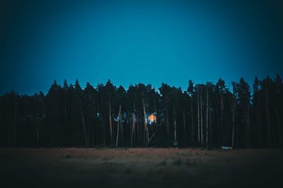 Silhouette trees in forest against clear sky at night