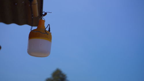 Low angle view of bird flying against clear blue sky