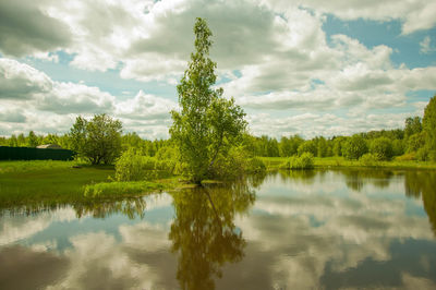 Scenic view of lake by trees against sky