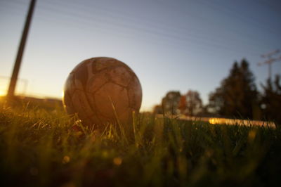 Close-up of ball on field against sky