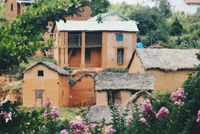 View of house and plants against cloudy sky