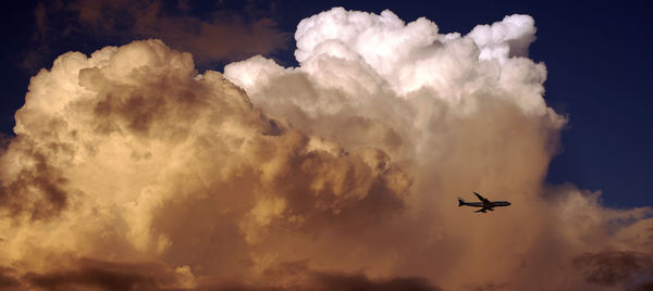 Low angle view of airplane flying in sky