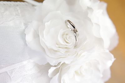 Close-up of rings in white rose