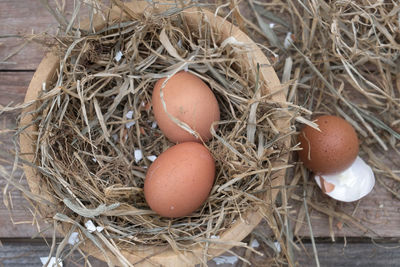 Close-up high angle view of eggs in nest