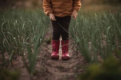 Inspecting the crops