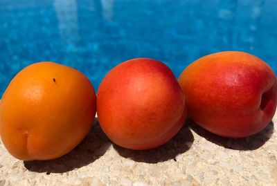 Close-up of oranges in water on table