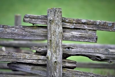 Close-up of damaged wood