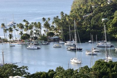 Boats in marina