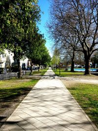 View of trees in city