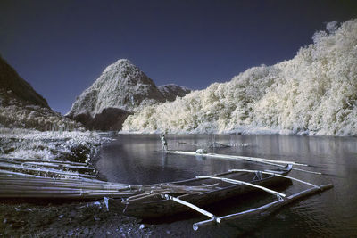 Outrigger boat moored on riverbank with white trees against sky