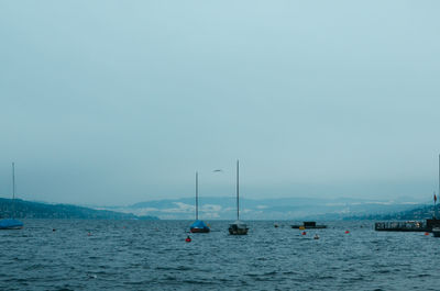 Sailboats in sea against clear sky