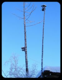 Low angle view of power lines against clear blue sky