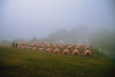 Panoramic shot of trees on field against sky