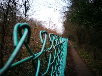 Close-up of railing by bare trees in forest