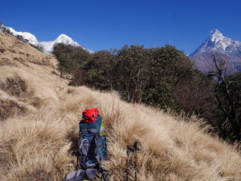 Rear view of man with umbrella on mountain