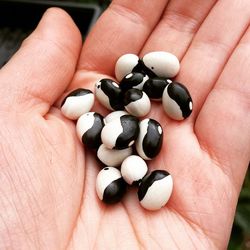 Close-up of cropped hand