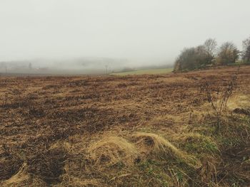 Scenic view of field against cloudy sky