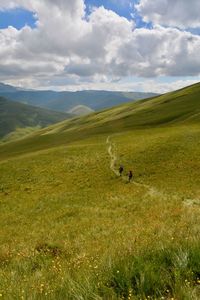 Scenic view of landscape against sky