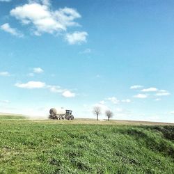Scenic view of grassy field against sky