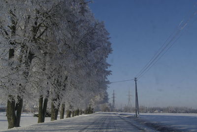 Road amidst trees against clear sky during winter