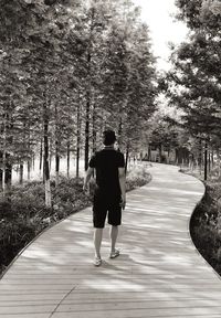 Rear view of man walking on footpath amidst trees