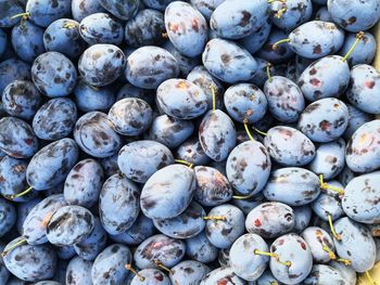 Full frame shot of fruits for sale in market