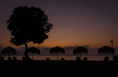 Silhouette trees on beach against sky during sunset