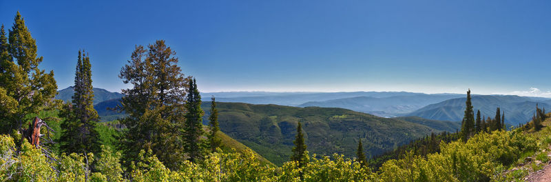 Panoramic view of trees and mountains against clear sky