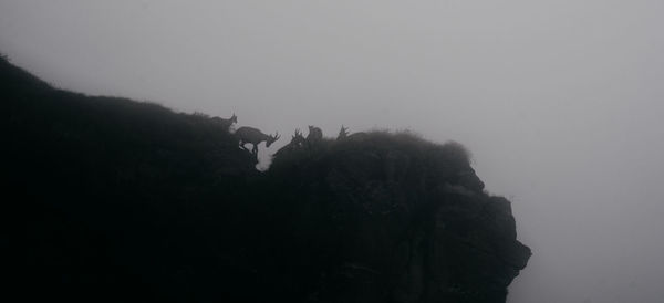 Low angle view of silhouette people against sky