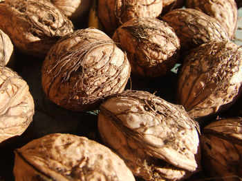 Full frame shot of walnuts 