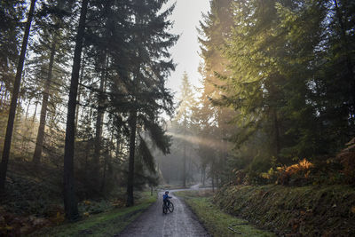 Boy riding bicycle on road amidst trees in forest
