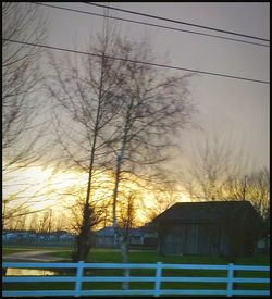 Bare trees against sky during sunset