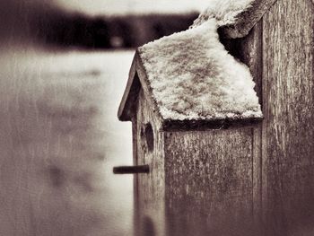 Close-up of snow on wood