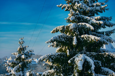 Panoramic shot of snow covered plants against sky