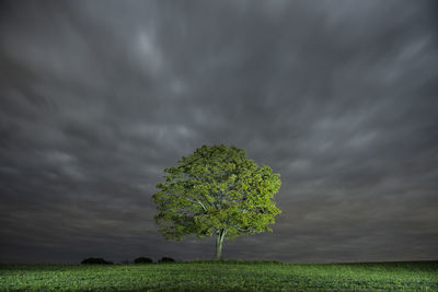 Lone tree in a field on a cloudy night