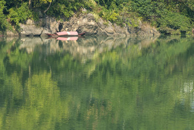 Scenic view of lake