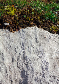 High angle view of rock formation on field