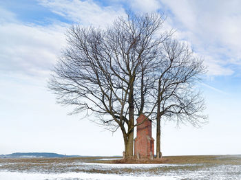 Bare tree against sky during winter