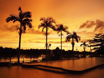 Silhouette of palm trees at beach during sunset