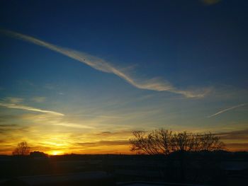 Low angle view of silhouette trees against sky during sunset