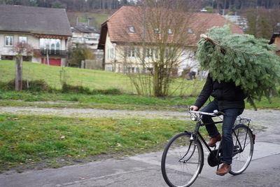 Man riding bicycle while carrying plants on road by buildings