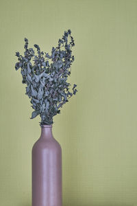 Close-up of vase on table against wall