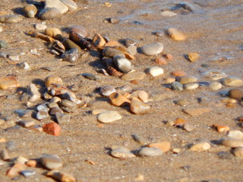 Close-up of pebbles on sand at beach