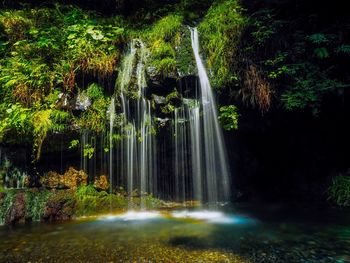 View of waterfall in forest