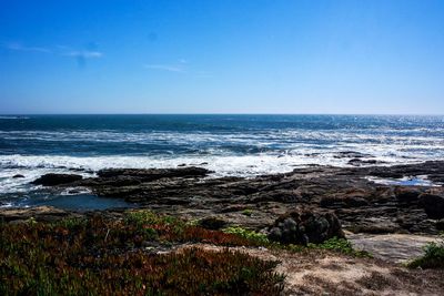 Scenic view of sea against clear blue sky