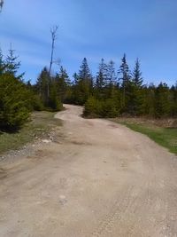 Road amidst trees against sky