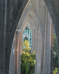 Arch bridge amidst trees and building